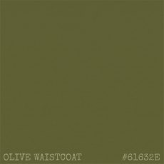IndigoBlu Artists Matte Acrylic Paint Olive Waistcoat | 20ml
