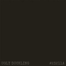 IndigoBlu Artists Translucent Acrylic Paint Ugly Duckling | 20ml