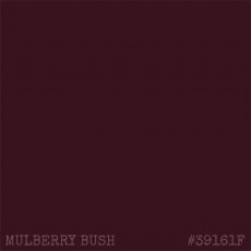 IndigoBlu Artists Translucent Acrylic Paint Mulberry Bush | 20ml
