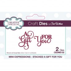 Sue Wilson Craft Dies Mini Expressions Collection Stacked A Gift For You | Set of 2