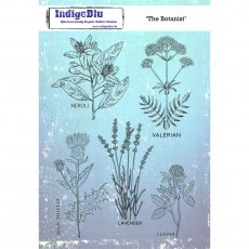 IndigoBlu A5 Rubber Mounted Stamp The Botanist | Set of 5