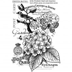 Woodware Clear Stamps Hydrangea