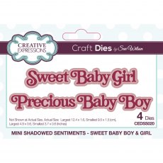 Sue Wilson Craft Dies Mini Shadowed Sentiments Collection Sweet Baby Boy & Girl | Set of 4