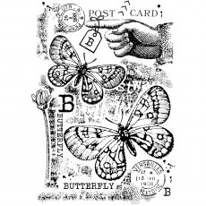 Woodware Clear Stamps B is For Butterfly