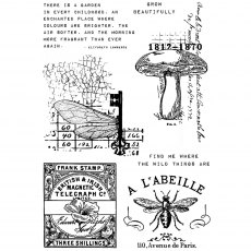 Creative Expressions Sam Poole Clear Stamp Snippets of Nature | Set of 7