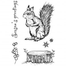 Creative Expressions Designer Boutique Clear Stamps Squirrel Greetings | Set of 6