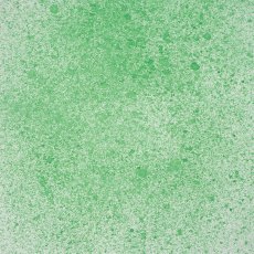 Cosmic Shimmer Sam Poole Botanical Spray Geranium Green | 60ml