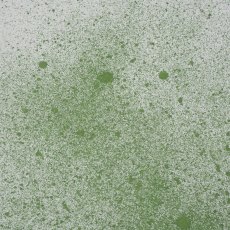 Cosmic Shimmer Sam Poole Botanical Spray Herb Green | 60ml