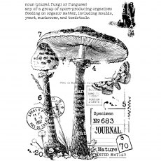 Woodware Clear Stamps Vintage Fungi | Set of 3