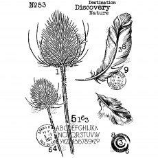 Woodware Clear Stamps Discovery | Set of 6