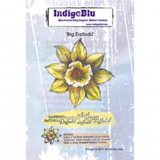 IndigoBlu A6 Rubber Mounted Stamp Big Daffodil | Set of 4