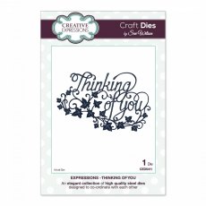 Sue Wilson Craft Dies Expressions Collection Thinking Of You