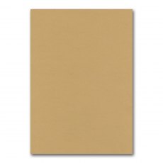 Foundation A4 Card Pack Tan