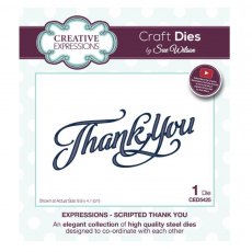 Sue Wilson Craft Dies Expressions Collection Scripted Thank You