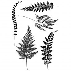 Woodware Clear Stamps Ferns | Set of 5