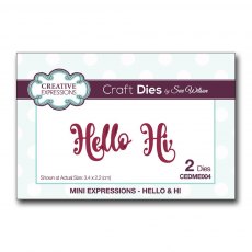 Sue Wilson Craft Dies Mini Expressions Collection Hello & Hi | Set of 2