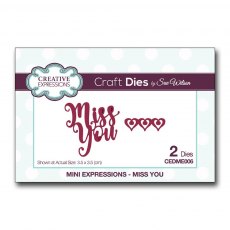 Sue Wilson Craft Dies Mini Expressions Collection Miss You | Set of 2