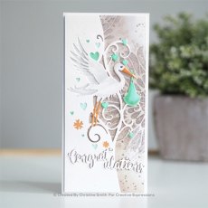 Sue Wilson Craft Dies Mini Expressions Collection Congratulations