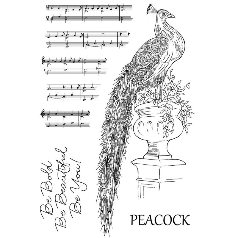 Woodware Woodware Clear Stamps Magnificent Peacock | Set of 4