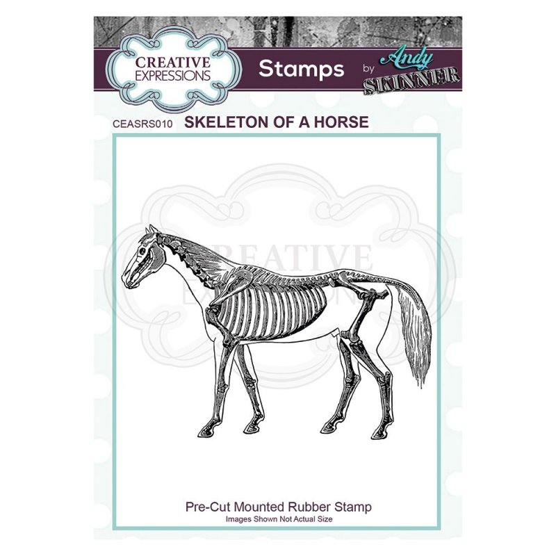 Andy Skinner Creative Expressions Pre Cut Rubber Stamp by Andy Skinner Skeleton of a Horse