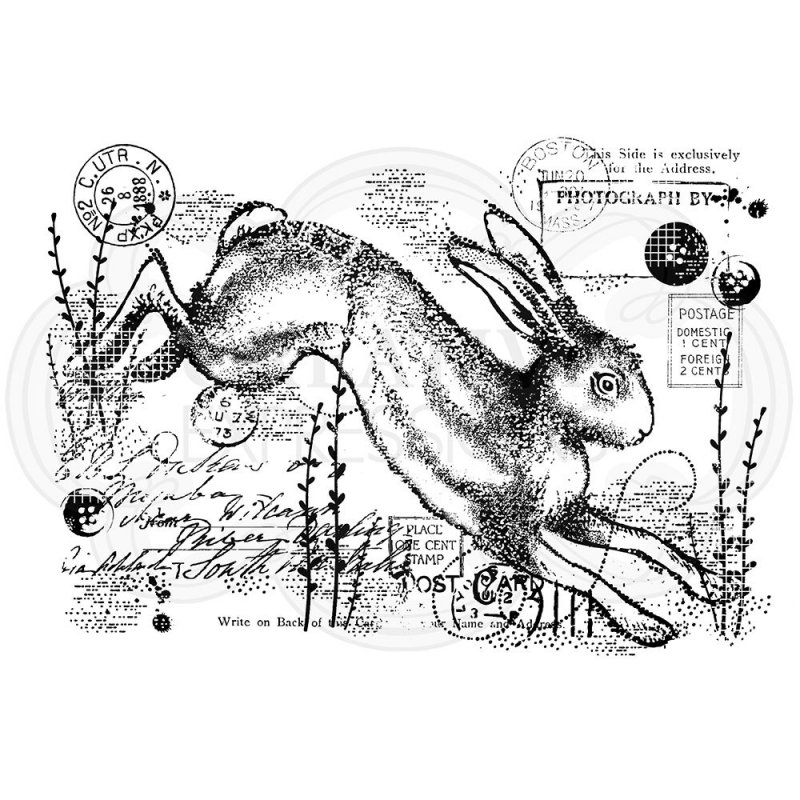 Woodware Woodware Clear Stamps Vintage Hare