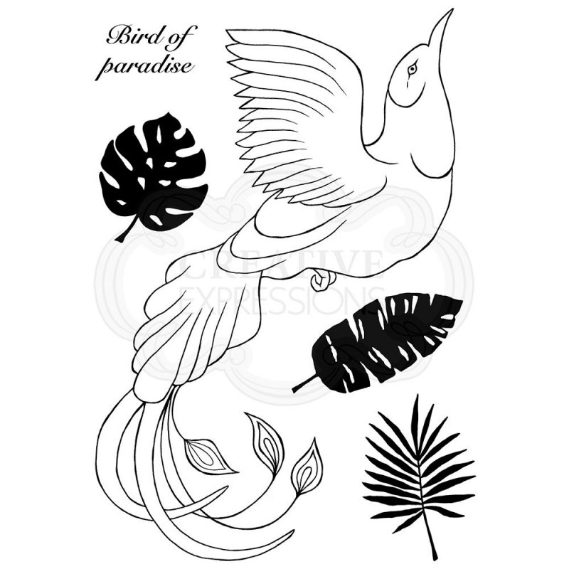 Woodware Woodware Clear Stamps Paradise Bird | Set of 5