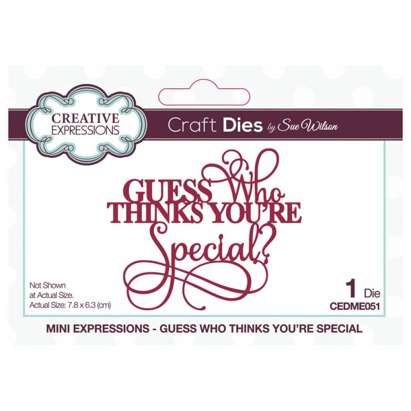 Sue Wilson Sue Wilson Craft Dies Mini Expressions Collection Guess Who Thinks You're Special