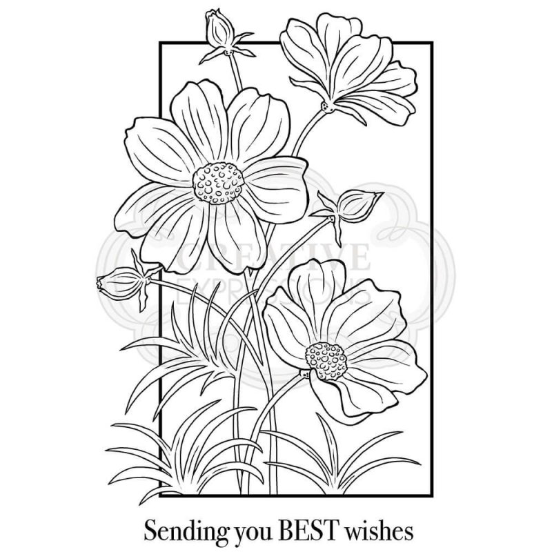 Woodware Woodware Clear Stamps Cosmos Collection | Set of 2