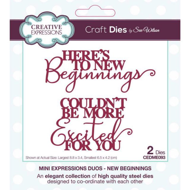 Sue Wilson Sue Wilson Craft Dies Mini Expressions Duos Collection New Beginnings | Set of 2