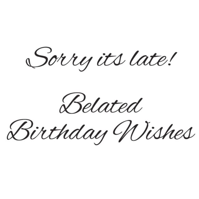 Woodware Woodware Clear Stamps Just Words Sorry Its Late Belated Birthday Wishes | Set of 2