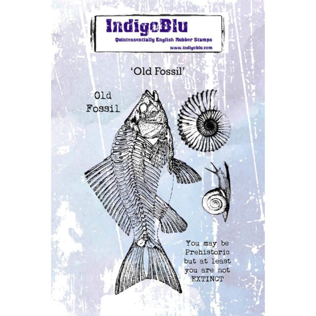 IndigoBlu Stamps IndigoBlu A6 Rubber Mounted Stamp Old Fossil | Set of 5