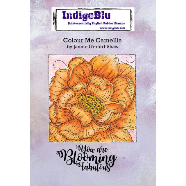 IndigoBlu Stamps IndigoBlu A6 Rubber Mounted Stamp Colour Me Camellia | Set of 2