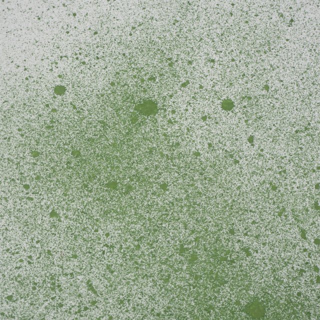 Cosmic Shimmer Sam Poole Botanical Spray Herb Green | 60ml