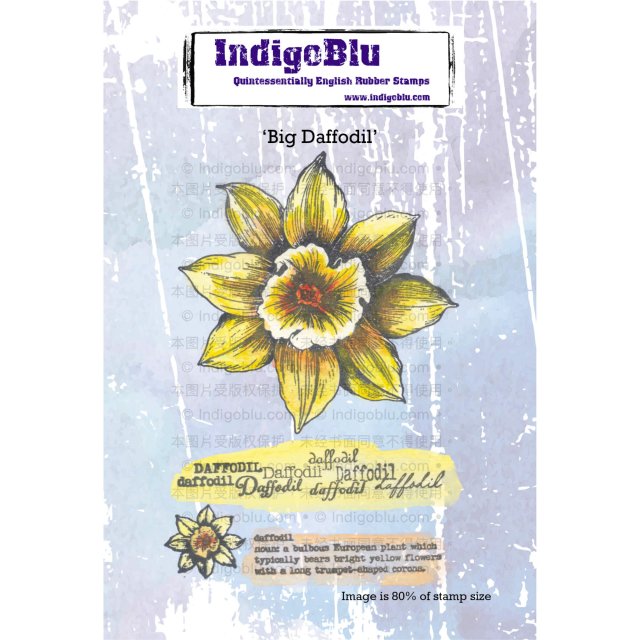 IndigoBlu Stamps IndigoBlu A6 Rubber Mounted Stamp Big Daffodil | Set of 4