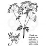 Woodware Woodware Clear Stamps Cow Parsley | Set of 3