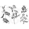 Woodware Woodware Clear Stamps Wood Vetch | Set of 3