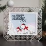 Sue Wilson Sue Wilson Craft Dies Festive Collection Snowflake Adjustable Frame | Set of 6
