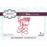 Sue Wilson Craft Dies Mini Expressions Collection I'm Here For You
