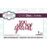 Sue Wilson Sue Wilson Craft Dies Mini Expressions Collection Stacked You Are So Special