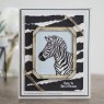 Sue Wilson Sue Wilson Craft Dies Safari Collection Zebra