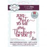 Sue Wilson Craft Dies Mini Expressions Duos Collection Just A Note | Set of 2