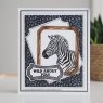 Sue Wilson Creative Expressions Pre Cut Rubber Stamp Zebra