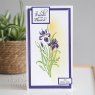 Paper Cuts Creative Expressions Craft Dies Paper Cuts Collection Iris Edger