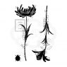 Woodware Woodware Clear Stamps Mini Flower Silhouettes | Set of 3
