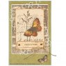 Sam Poole Creative Expressions Sam Poole Clear Stamp Set Butterfly Walk | Set of 14