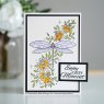 Designer Boutique Creative Expressions Designer Boutique Collection Clear Stamps Dragonfly Delight