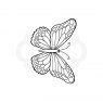 Woodware Woodware Clear Stamps Mini Wings Marsh Fritillary