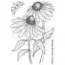 Woodware Woodware Clear Stamps Echinacea and Moth | Set of 3