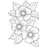 Woodware Woodware Clear Stamps Scented Blooms