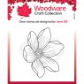 Woodware Woodware Clear Stamps Mini Garden Spray